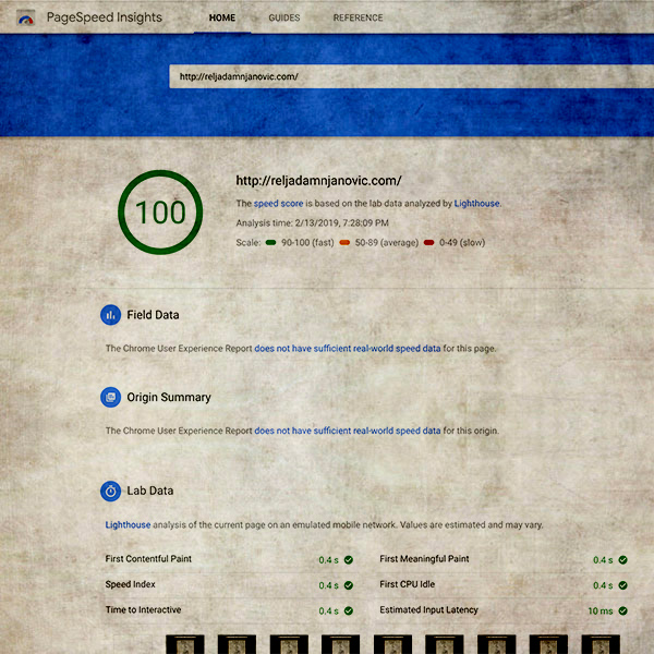 PageSpeed Insights